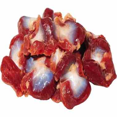 Chicken Gizzard